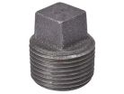 1-1/4" Galvanized Cast Iron Plug