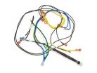 Standing Pilot Wiring Harness for CG, CGa Boilers