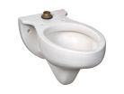 Wall-mounted Top Spud Flushometer Bowl,Elongated bowl, White